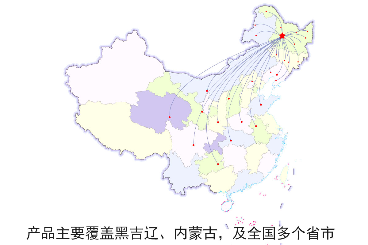 銷(xiāo)售網(wǎng)絡(luò ).jpg