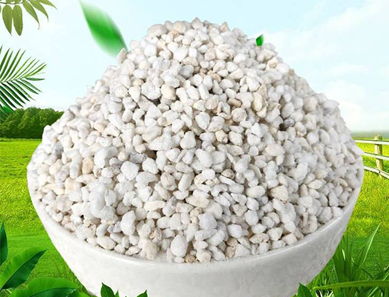 珍珠巖